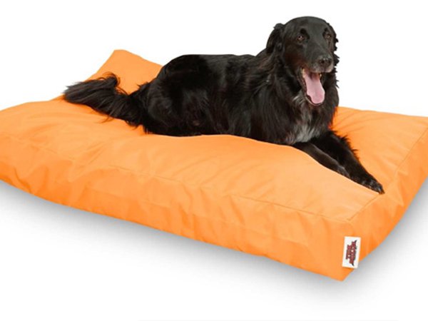 Hundebetten aus Nylon sind besonders pflegeleicht. Hundebett Nylon
